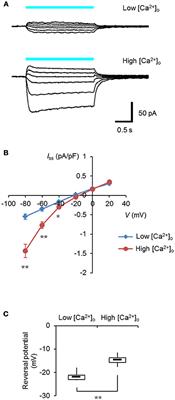 Organelle Optogenetics: Direct Manipulation of Intracellular Ca2+ Dynamics by Light